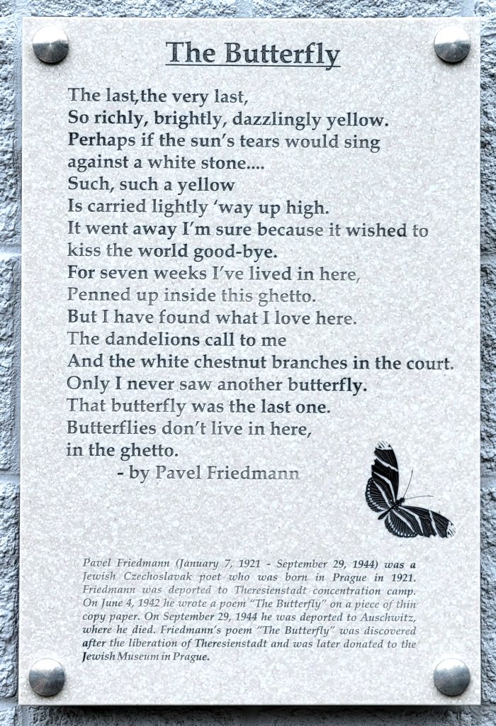 The text of the poem, The Butterfly