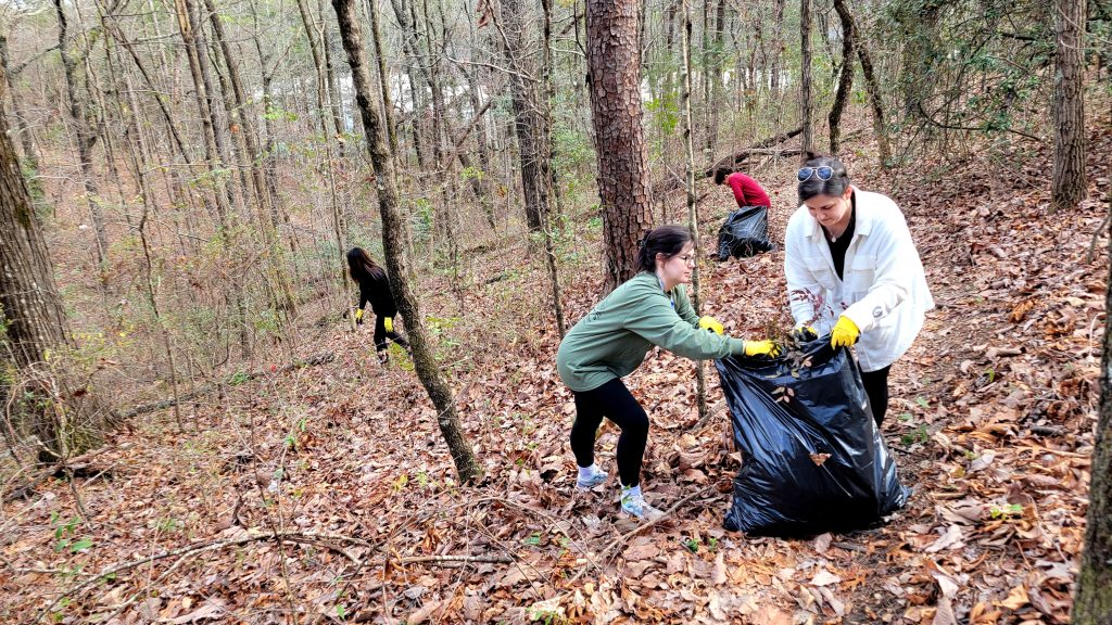 Four people in a forest with a blanket of leaves fill plastic bags with invasive nandina plants that they uprooted