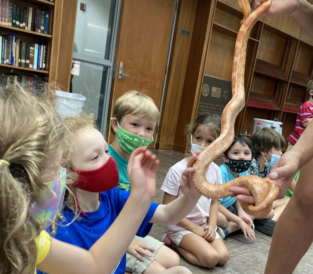 A group of children sitting in a circle get to touch an alabaster-colored snake as an instructor carries it around the group.