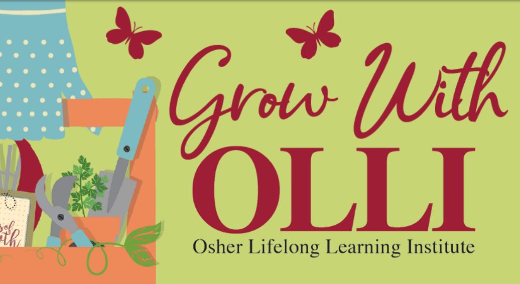 OLLI Picture
